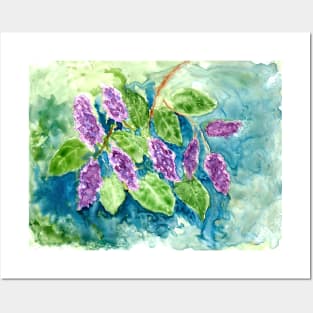 Spring Lilacs in Watercolor Posters and Art